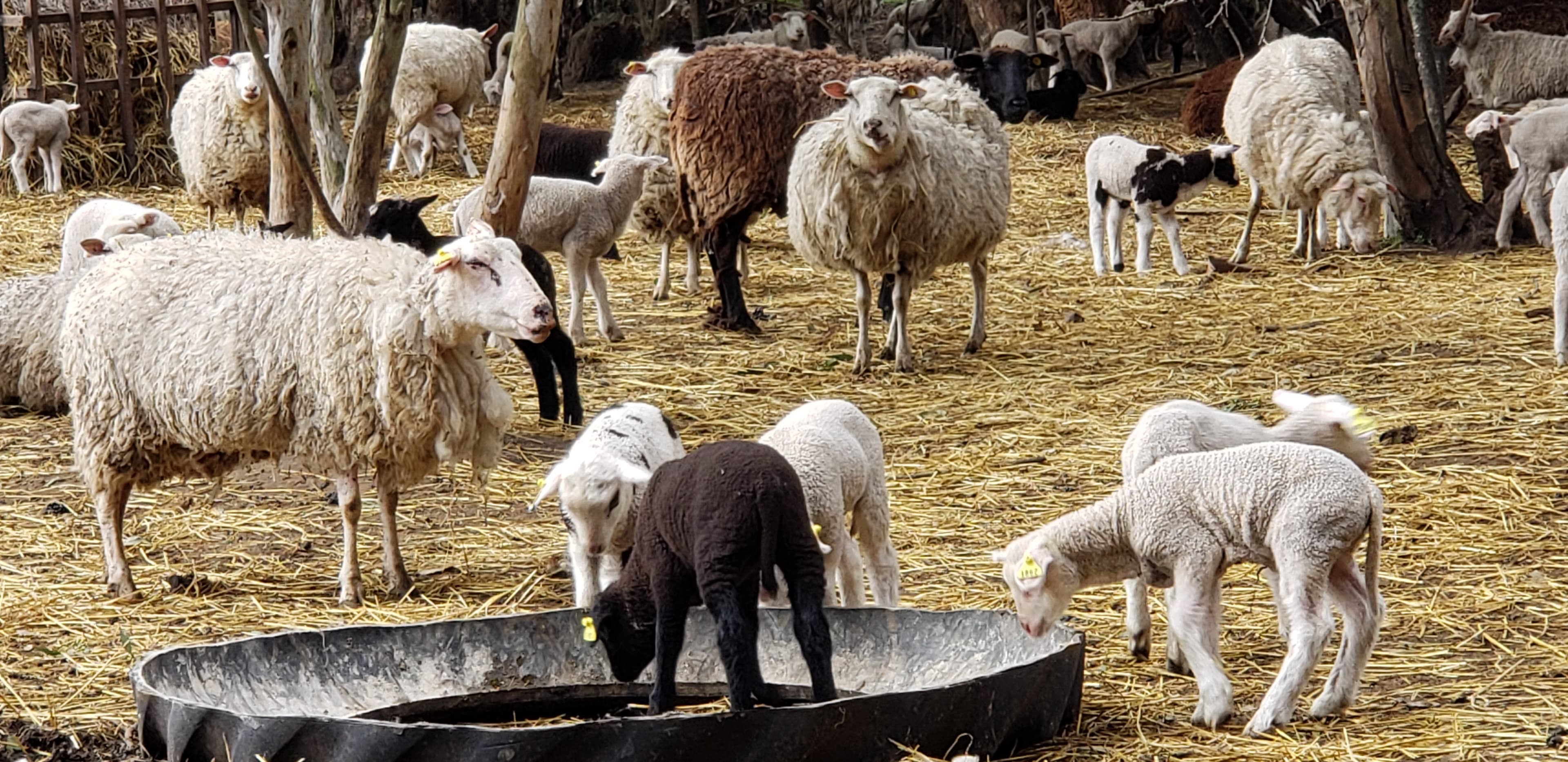 La Vigna Ecolifestyle
