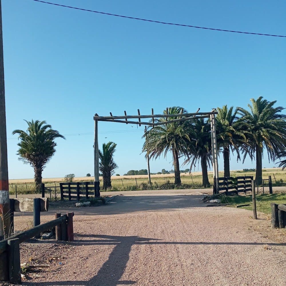 Ombués de Lavalle