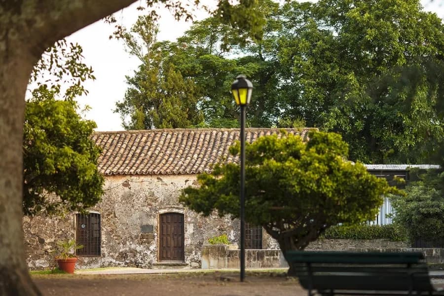 Memoria y Sitio en el Archivo Histórico Regional